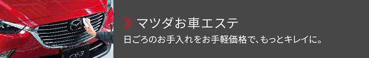 マツダお車エステ